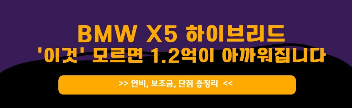 BMW X5 하이브리드 1년 실사용 후기: 연간 유지비와 실연비, 장단점 완벽 분석