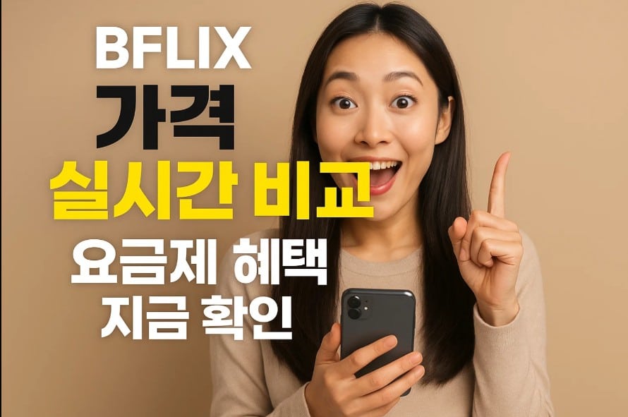 비플릭스 가격